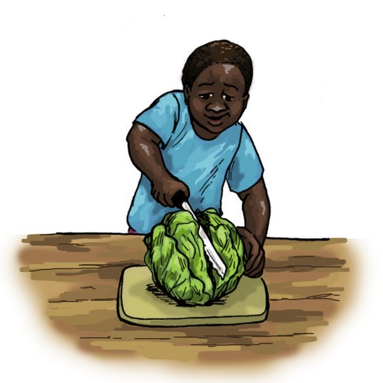 A boy chopping a cabbage.