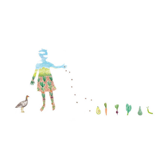 A girl scattering seeds in a food garden.