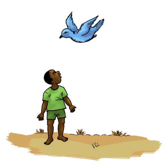 A boy looking up at a bird flying.
