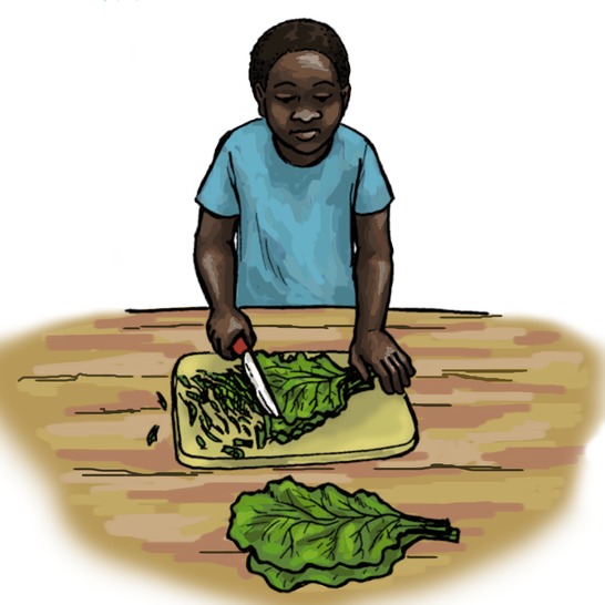 A boy chopping spinach.