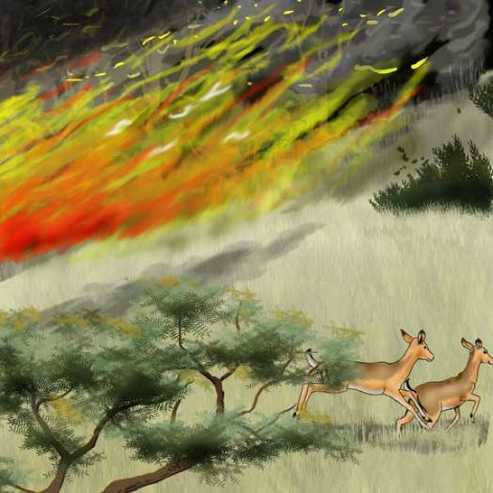 A forest on fire and deer running away.