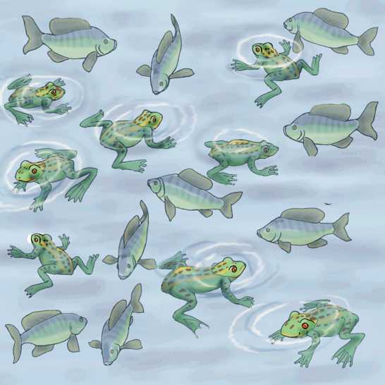Frogs and fish swimming in water.